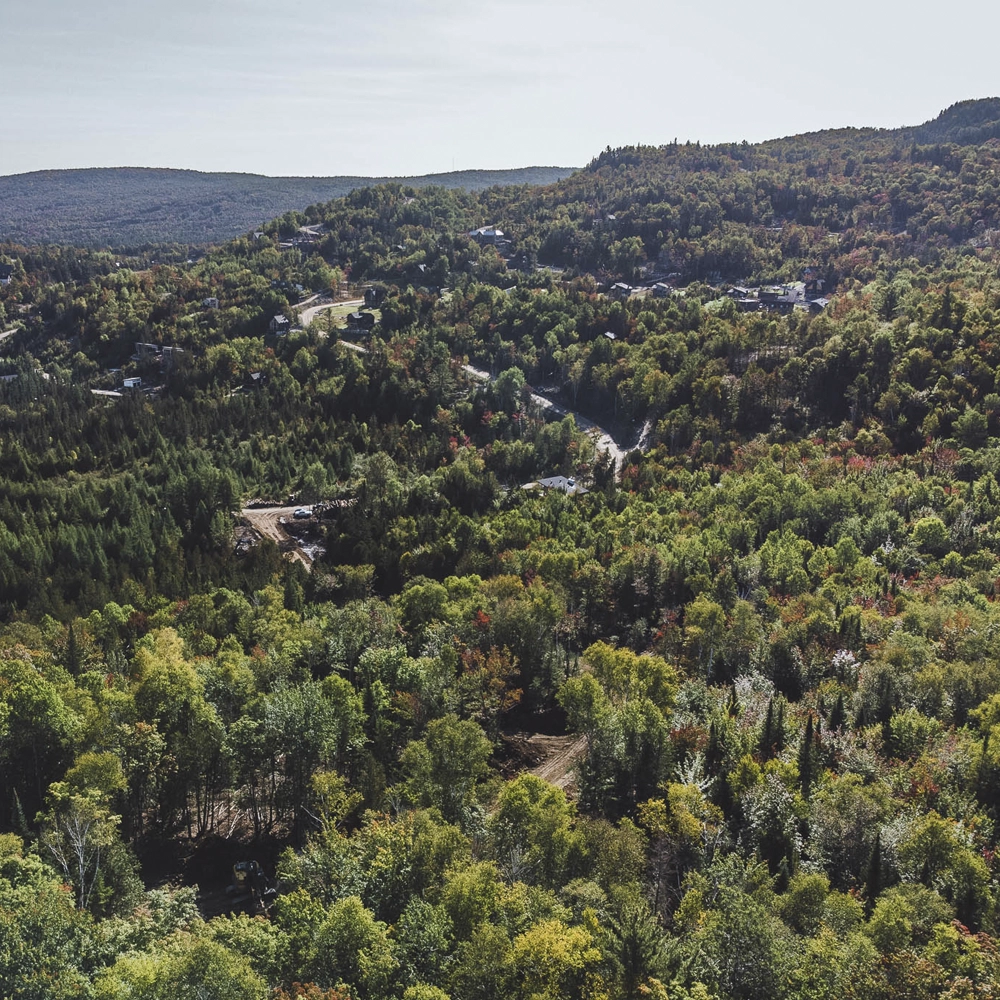 Expérience Harmonie - Montagne chalet
